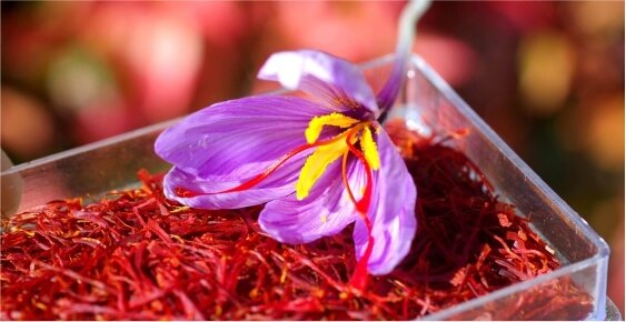 About Us Our Company 02