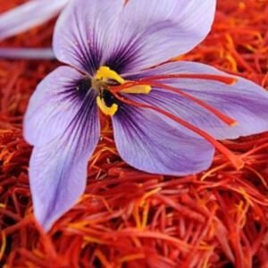 Kashmiri Saffron – GI Tagged